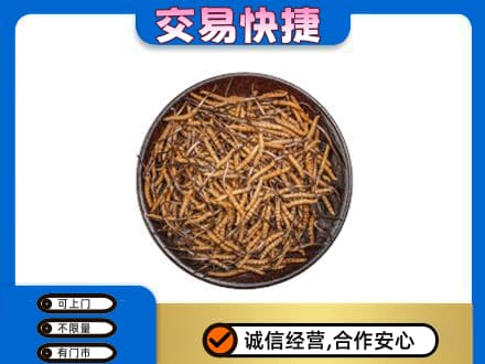 西安雁塔区回收散虫草